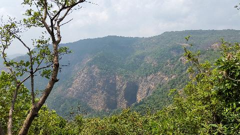 Wildernest Nature Resort - Download Goa Photos